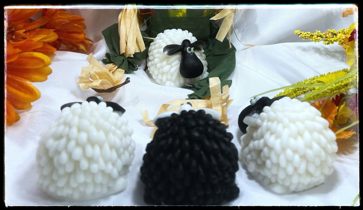 Sheep soaps